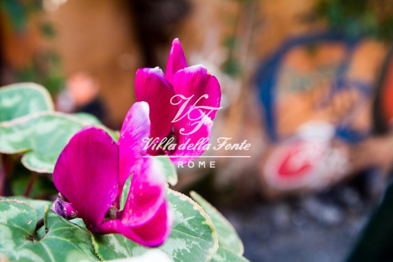 Villa Della Fonte ローマ エクステリア 写真